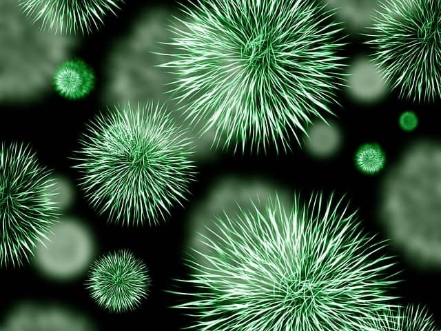 green infectious bacterio