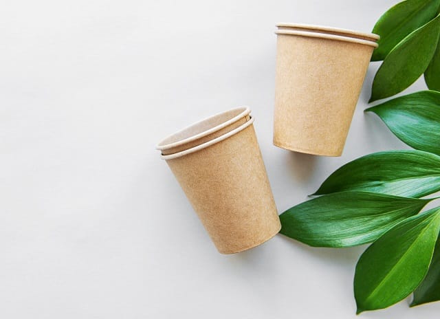 eco-friendly disposable cardboard cups